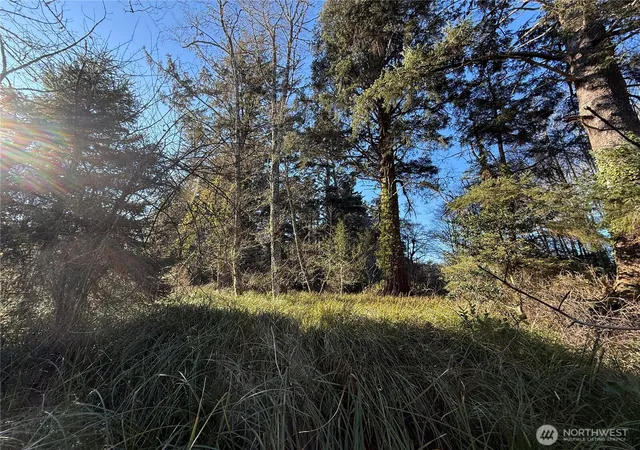 Photo 1 of Land for sale at 27399 Sandridge Rd, Ocean Park, WA 98640 | MLS# NWM2550986 | Listing updated on 2026-09-22