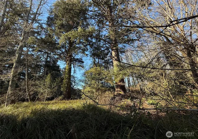 Photo 3 of Land for sale at 27399 Sandridge Rd, Ocean Park, WA 98640 | MLS# NWM2550986 | Listing updated on 2026-09-22