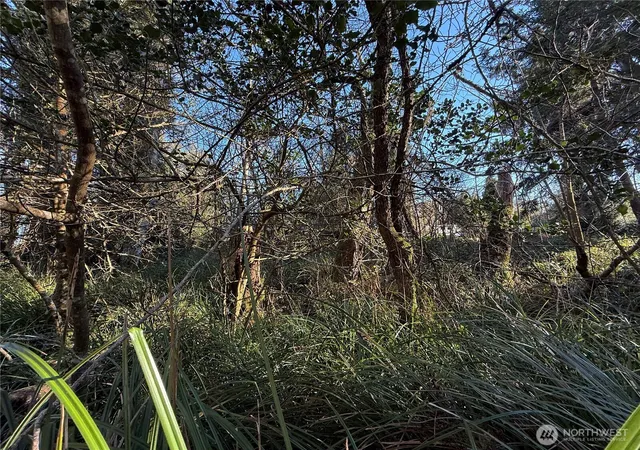 Photo 3 of Land for sale at 27399 Sandridge Rd, Ocean Park, WA 98640 | MLS# NWM2550986 | Listing updated on 2026-09-22