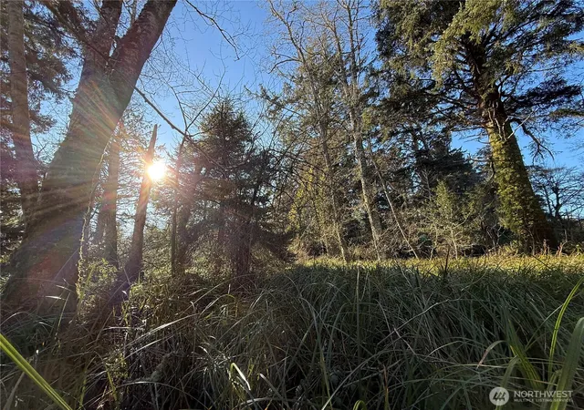 Photo 4 of Land for sale at 27399 Sandridge Rd, Ocean Park, WA 98640 | MLS# NWM2550986 | Listing updated on 2026-09-22
