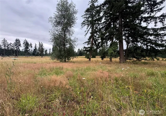 Photo 2 of Land for sale at 15339 123rd Avenue Se, Yelm, WA 98597 | MLS# NWM2551094 | Listing updated on 2026-09-22