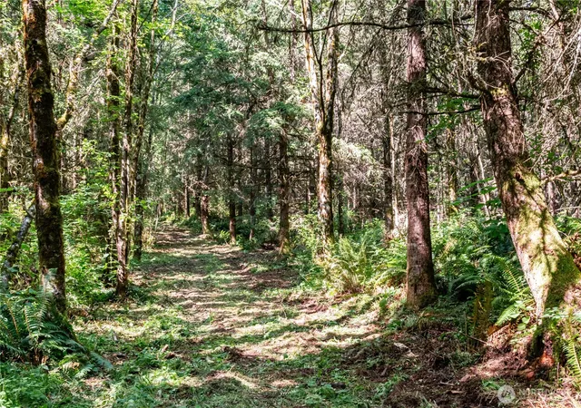 Photo 3 of Land for sale at 19 Academy Highlands, Bellingham, WA 98226 | MLS# NWM2551121 | Listing updated on 2026-09-22