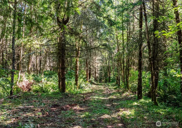 Photo 4 of Land for sale at 19 Academy Highlands, Bellingham, WA 98226 | MLS# NWM2551121 | Listing updated on 2026-09-22
