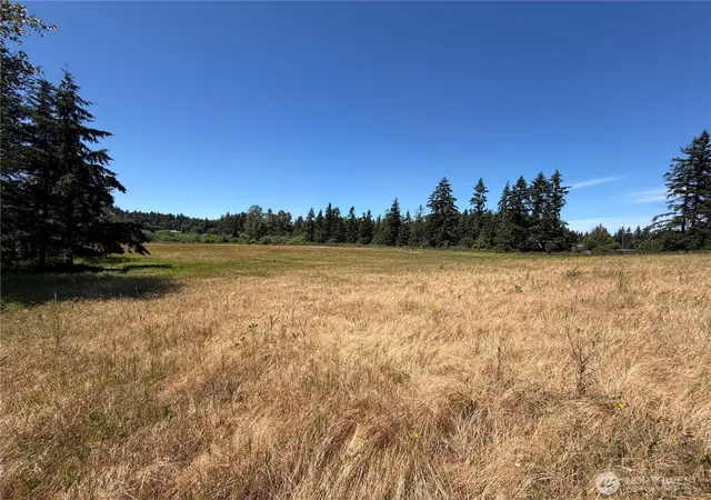 Photo 3 of Land for sale at 0 Rhody Dr, Port Hadlock, WA 98339 | MLS# NWM2551204 | Listing updated on 2026-09-22