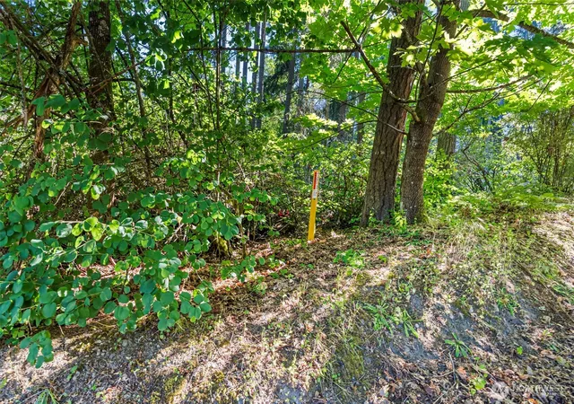Photo 3 of Land for sale at 4618 Timber Ln NW, Gig Harbor, WA 98335 | MLS# NWM2551231 | Listing updated on 2026-09-18