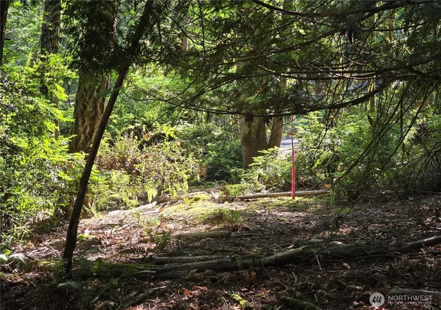 Photo 1 of Sale Pending at 655 E Pointes Dr, Shelton, WA 98584 | MLS# NWM2551458 | Listing updated on 2026-09-22