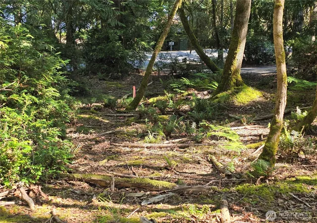 Photo 3 of Sale Pending at 655 E Pointes Dr, Shelton, WA 98584 | MLS# NWM2551458 | Listing updated on 2026-09-22