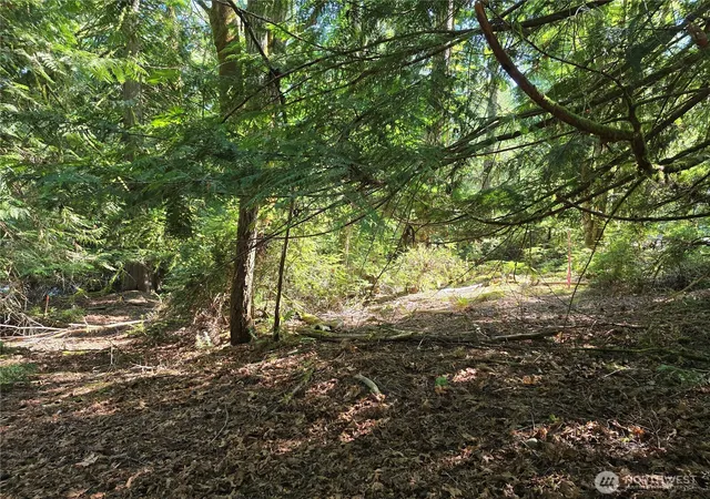 Photo 3 of Sale Pending at 655 E Pointes Dr, Shelton, WA 98584 | MLS# NWM2551458 | Listing updated on 2026-09-22