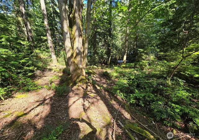 Photo 4 of Sale Pending at 655 E Pointes Dr, Shelton, WA 98584 | MLS# NWM2551458 | Listing updated on 2026-09-22