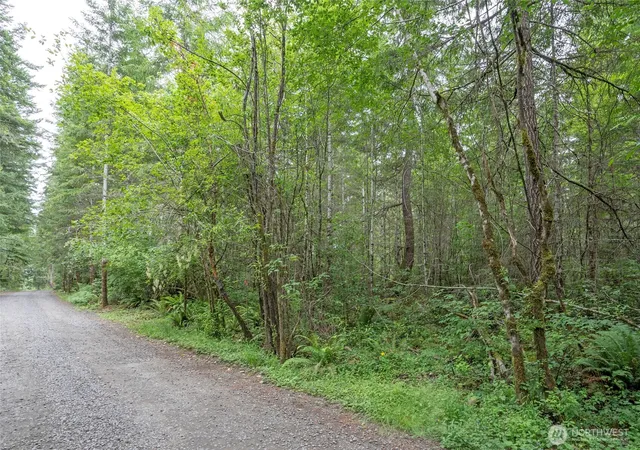 Photo 3 of Land for sale at 0 E Tepee Ln, Belfair, WA 98528 | MLS# NWM2551534 | Listing updated on 2026-09-22