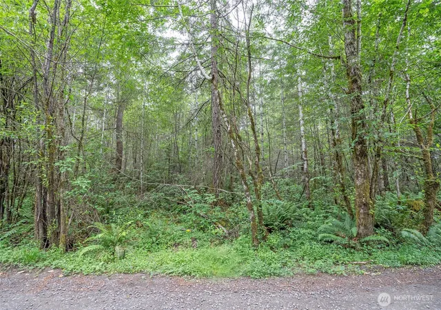 Photo 3 of Land for sale at 0 E Tepee Ln, Belfair, WA 98528 | MLS# NWM2551534 | Listing updated on 2026-09-22