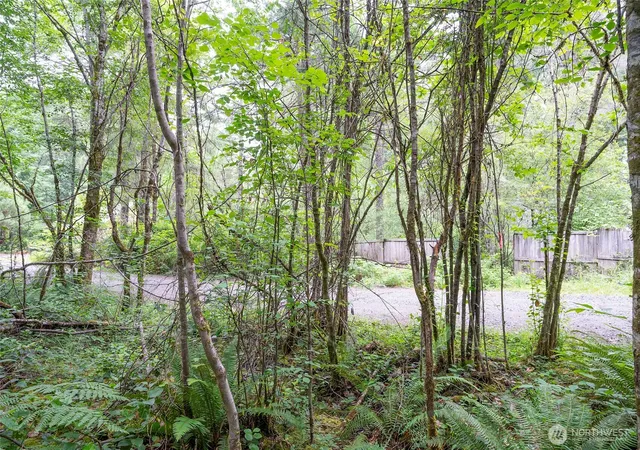 Photo 4 of Land for sale at 0 E Tepee Ln, Belfair, WA 98528 | MLS# NWM2551534 | Listing updated on 2026-09-22