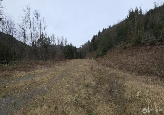 Photo 3 of Land for sale at 5664 State Route 508, Morton, WA 98356 | MLS# NWM2551637 | Listing updated on 2026-09-22