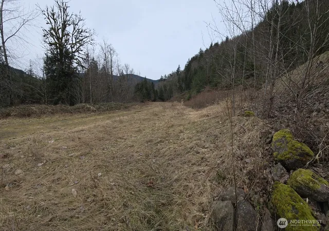 Photo 3 of Land for sale at 5664 State Route 508, Morton, WA 98356 | MLS# NWM2551637 | Listing updated on 2026-09-22