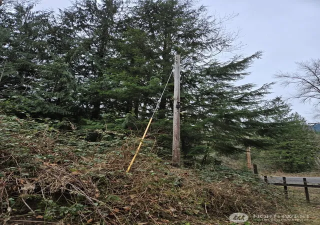 Photo 4 of Land for sale at 5664 State Route 508, Morton, WA 98356 | MLS# NWM2551637 | Listing updated on 2026-09-22