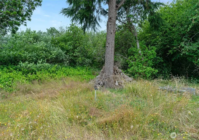 Photo 1 of Land for sale at 521 Point Brown Ave Sw, Ocean Shores, WA 98569 | MLS# NWM2551652 | Listing updated on 2026-09-22