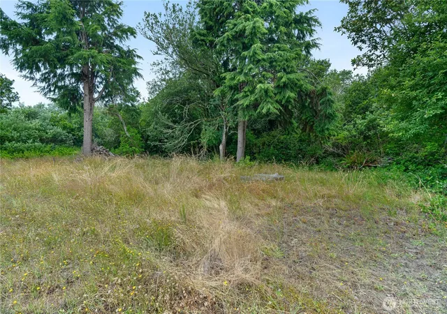 Photo 2 of Land for sale at 521 Point Brown Ave Sw, Ocean Shores, WA 98569 | MLS# NWM2551652 | Listing updated on 2026-09-22