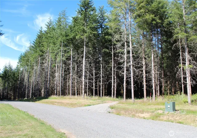 Photo 1 of Land for sale at 152 Vetter Ln, Centralia, WA 98531 | MLS# NWM2551792 | Listing updated on 2026-09-22