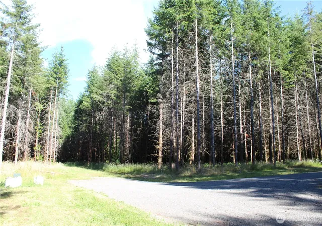 Photo 3 of Land for sale at 152 Vetter Ln, Centralia, WA 98531 | MLS# NWM2551792 | Listing updated on 2026-09-22