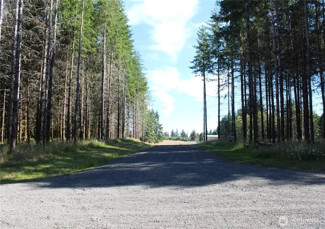 Photo 3 of Land for sale at 152 Vetter Ln, Centralia, WA 98531 | MLS# NWM2551792 | Listing updated on 2026-09-22