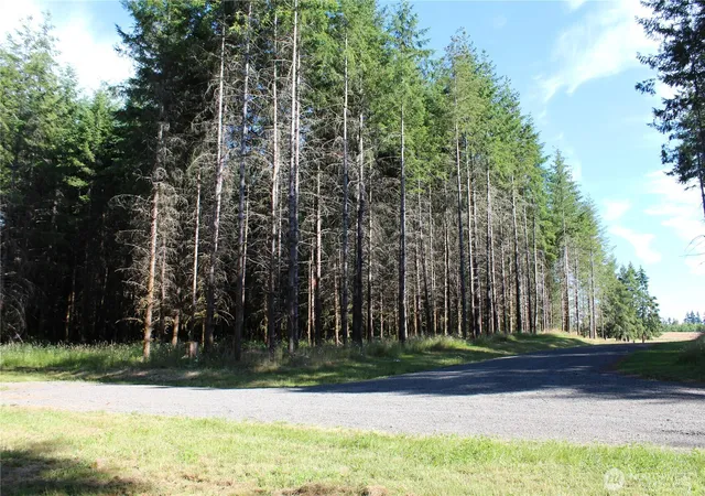 Photo 4 of Land for sale at 152 Vetter Ln, Centralia, WA 98531 | MLS# NWM2551792 | Listing updated on 2026-09-22