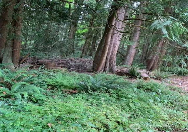 Photo 1 of Land for sale at 3440 E Ames Lake Dr Ne, Redmond, WA 98053 | MLS# NWM2552242 | Listing updated on 2026-09-22