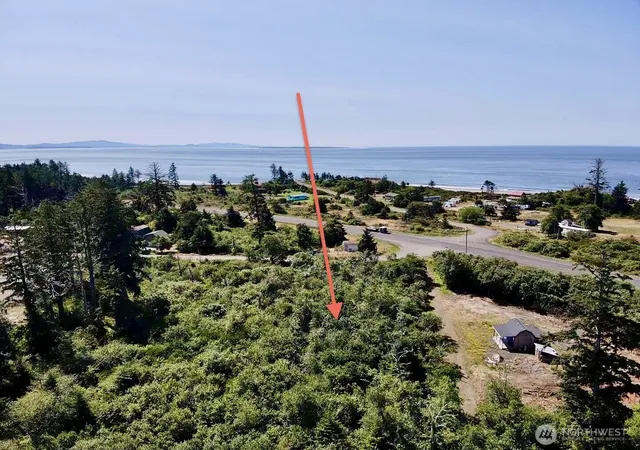 Land for sale at 1 Xxx Larkin, Grayland, WA 98547 | MLS# NWM2552286