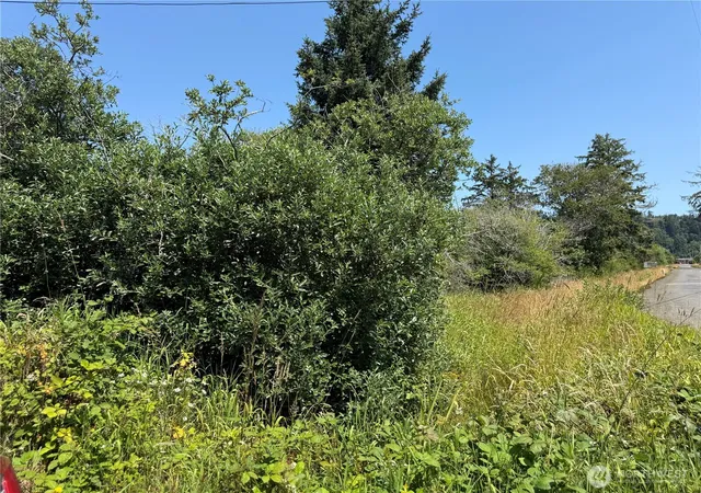 Photo 3 of Land for sale at 1 Xxx Larkin, Grayland, WA 98547 | MLS# NWM2552286 | Listing updated on 2026-09-22