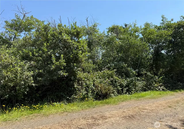 Photo 3 of Land for sale at 1 Xxx Larkin, Grayland, WA 98547 | MLS# NWM2552286 | Listing updated on 2026-09-22