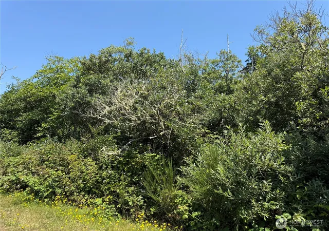 Photo 4 of Land for sale at 1 Xxx Larkin, Grayland, WA 98547 | MLS# NWM2552286 | Listing updated on 2026-09-22