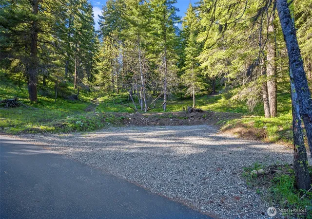 Photo 1 of Land for sale at 0 Xxx Lava Ln, Ronald, WA 98940 | MLS# NWM2552508 | Listing updated on 2026-09-22