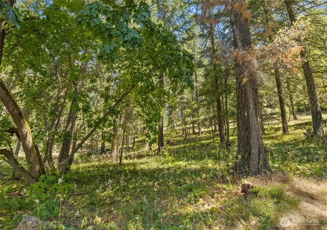 Photo 2 of Land for sale at 0 Xxx Lava Ln, Ronald, WA 98940 | MLS# NWM2552508 | Listing updated on 2026-09-22