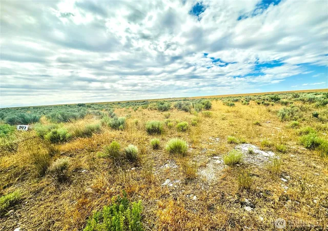 Photo 3 of Land for sale at 98860 NE Rd 212, Wilson Creek, WA 98860 | MLS# NWM2552559 | Listing updated on 2026-09-22