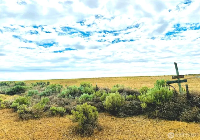 Photo 4 of Land for sale at 98860 NE Rd 212, Wilson Creek, WA 98860 | MLS# NWM2552559 | Listing updated on 2026-09-22