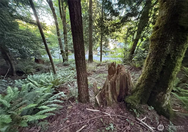Photo 1 of Land for sale at 767 West Rd, Sedro Woolley, WA 98284 | MLS# NWM2552602 | Listing updated on 2026-09-22
