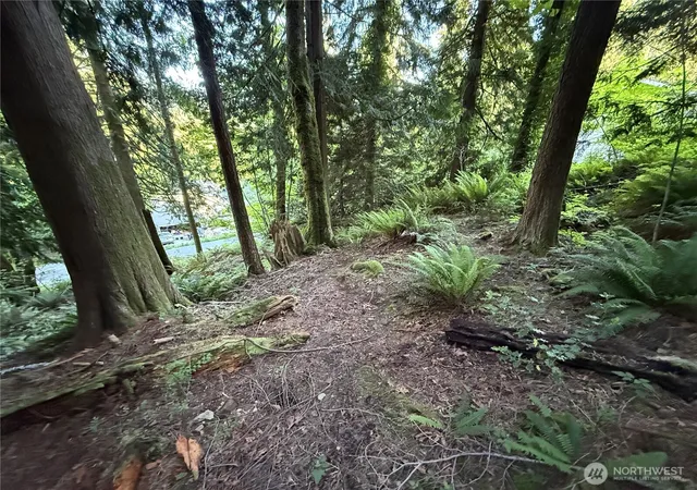 Photo 2 of Land for sale at 767 West Rd, Sedro Woolley, WA 98284 | MLS# NWM2552602 | Listing updated on 2026-09-22