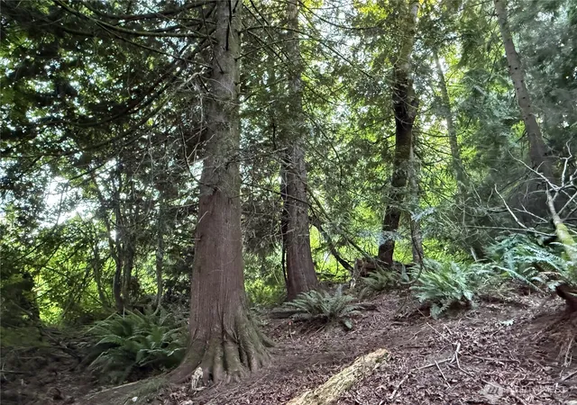 Photo 3 of Land for sale at 767 West Rd, Sedro Woolley, WA 98284 | MLS# NWM2552602 | Listing updated on 2026-09-22