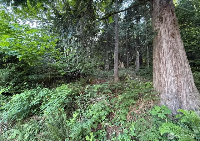 Photo 3 of Land for sale at 767 West Rd, Sedro Woolley, WA 98284 | MLS# NWM2552602 | Listing updated on 2026-09-22