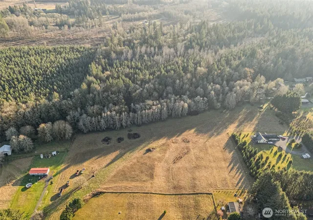 Photo 4 of Land for sale at 0 Collins Rd, Toledo, WA 98591 | MLS# NWM2552645 | Listing updated on 2026-09-22