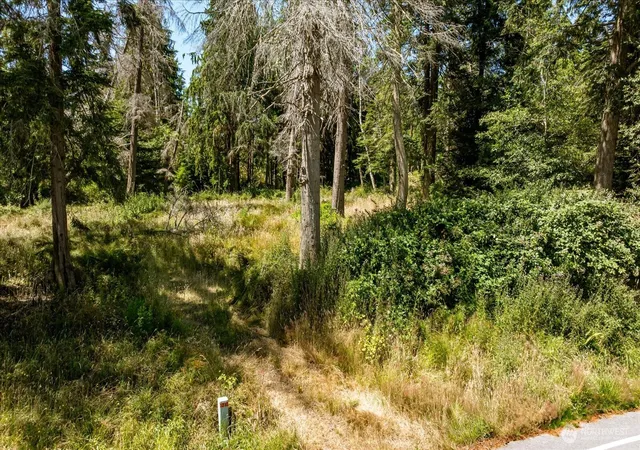 Photo 4 of Land for sale at 2458 North Blf Rd, Greenbank, WA 98253 | MLS# NWM2552919 | Listing updated on 2026-09-22