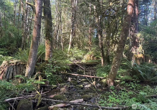 Photo 3 of Land for sale at 252 Ash Mountain Dr, Castle Rock, WA 98611 | MLS# NWM2552925 | Listing updated on 2026-09-22