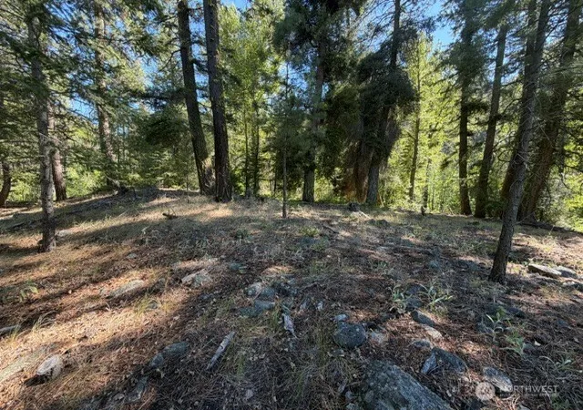 Land for sale at 0 E Buttermilk Crk Rd, Twisp, WA 98856 | MLS# NWM2552952