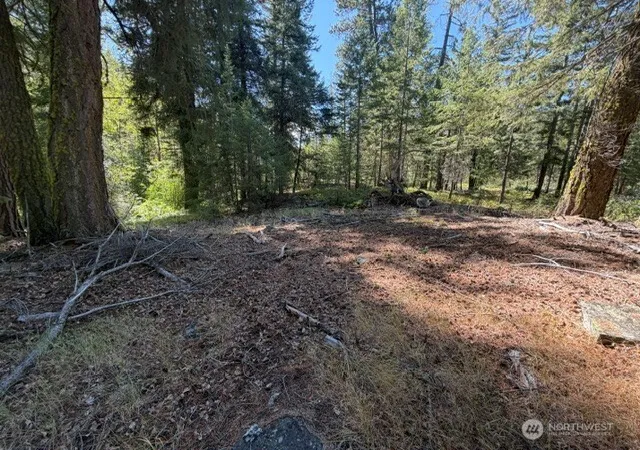 Photo 2 of Land for sale at 0 E Buttermilk Crk Rd, Twisp, WA 98856 | MLS# NWM2552952 | Listing updated on 2026-09-22