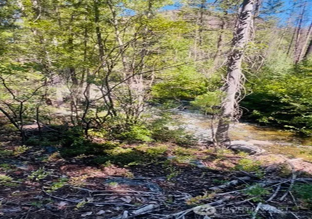 Photo 3 of Land for sale at 0 E Buttermilk Crk Rd, Twisp, WA 98856 | MLS# NWM2552952 | Listing updated on 2026-09-22