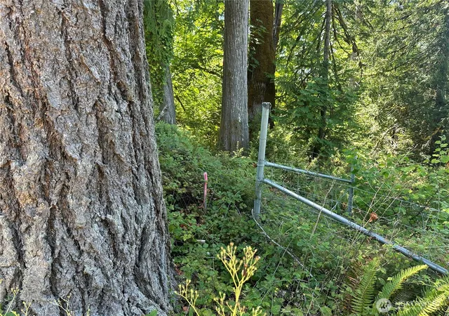 Photo 3 of Land for sale at 0 Xxx Hippie Hl Rd, Belfair, WA 98528 | MLS# NWM2553036 | Listing updated on 2026-09-22