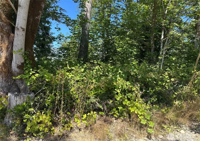Photo 4 of Land for sale at 0 Xxx Hippie Hl Rd, Belfair, WA 98528 | MLS# NWM2553036 | Listing updated on 2026-09-22