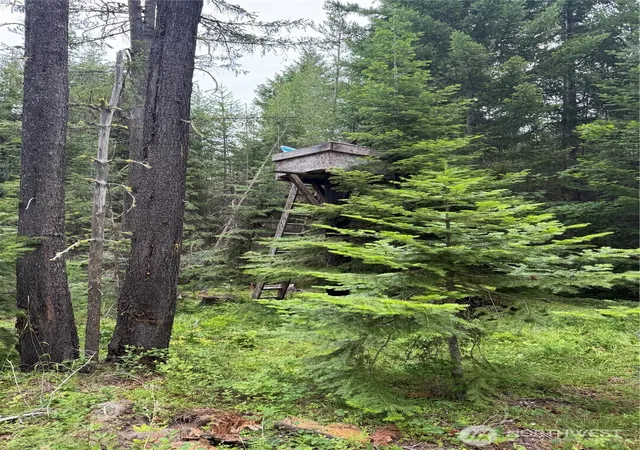 Photo 3 of Land for sale at 750 Tall Pines Dr #2 of 2, Cle Elum, WA 98992 | MLS# NWM2553187 | Listing updated on 2026-09-22