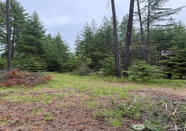 Photo 4 of Land for sale at 750 Tall Pines Dr #2 of 2, Cle Elum, WA 98992 | MLS# NWM2553187 | Listing updated on 2026-09-22