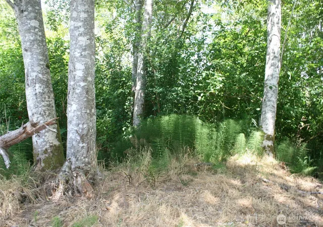 Photo 1 of Land for sale at 0 Farrell St, Aberdeen, WA 98520 | MLS# NWM2553252 | Listing updated on 2026-09-22