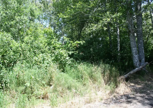 Photo 2 of Land for sale at 0 Farrell St, Aberdeen, WA 98520 | MLS# NWM2553252 | Listing updated on 2026-09-22